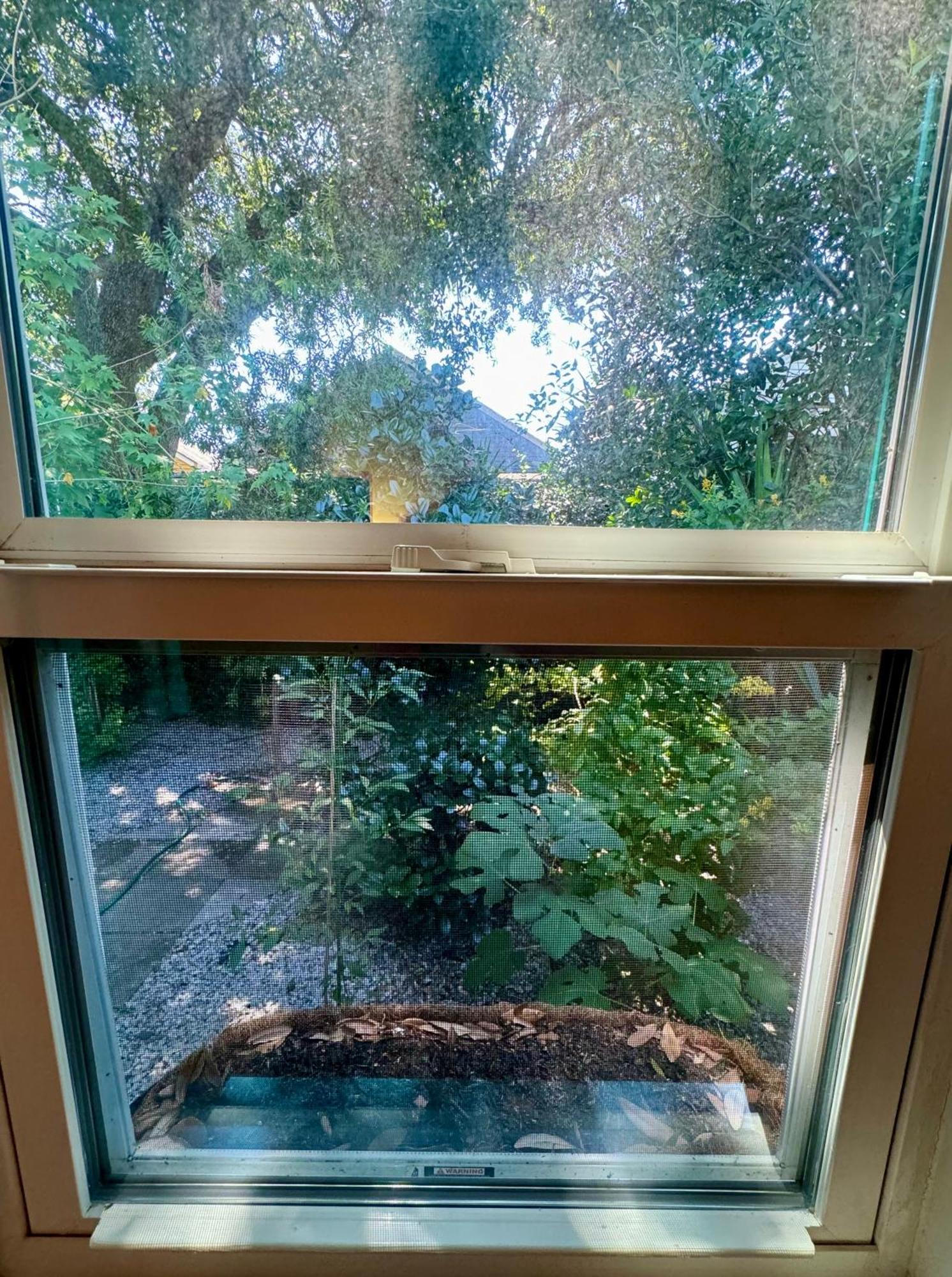 One Bedroom Apartment With Hot Tub 2 Blocks To Magazine Street 新奥尔良 外观 照片